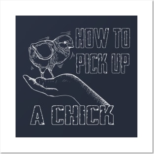 How to Pick up a Chick Posters and Art